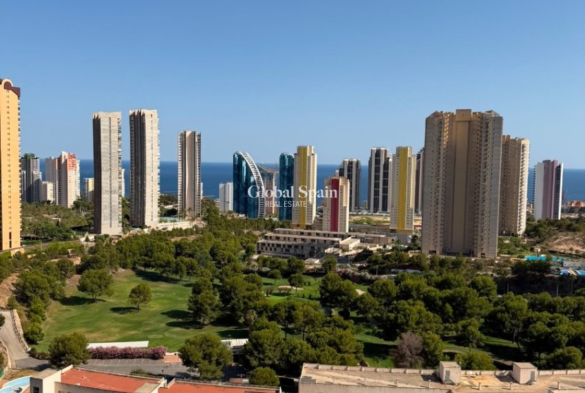 Odsprzedaż - MIESZKANIE -
BENIDORM - Zona de Poniente