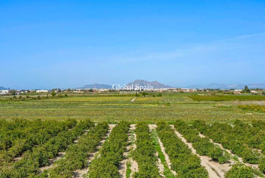 Odsprzedaż - MIESZKANIE -
DAYA NUEVA - Costa Blanca South