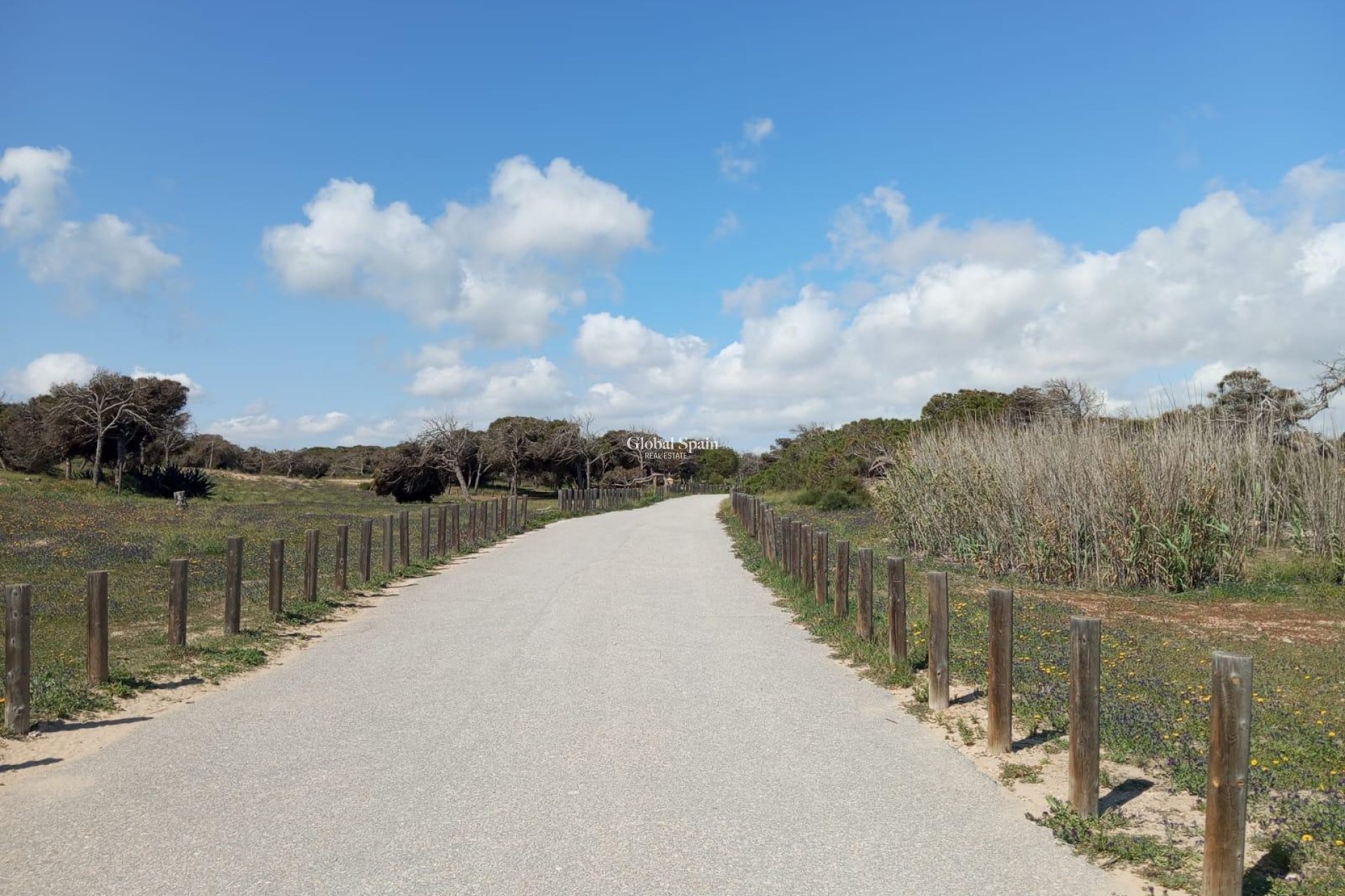 Odsprzedaż - MIESZKANIE -
GUARDAMAR DEL SEGURA - Urbanizaciones