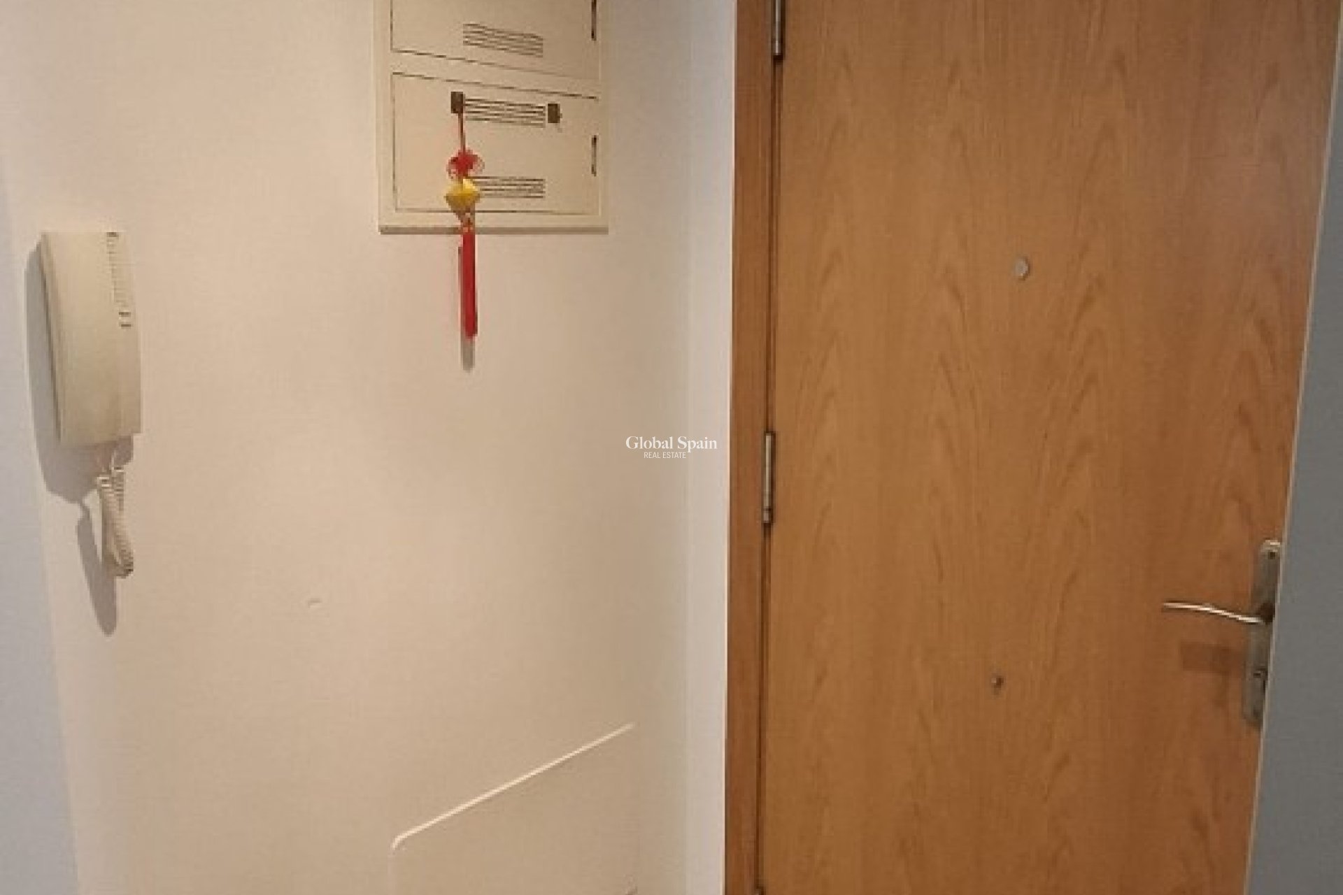 Odsprzedaż - MIESZKANIE -
GUARDAMAR DEL SEGURA