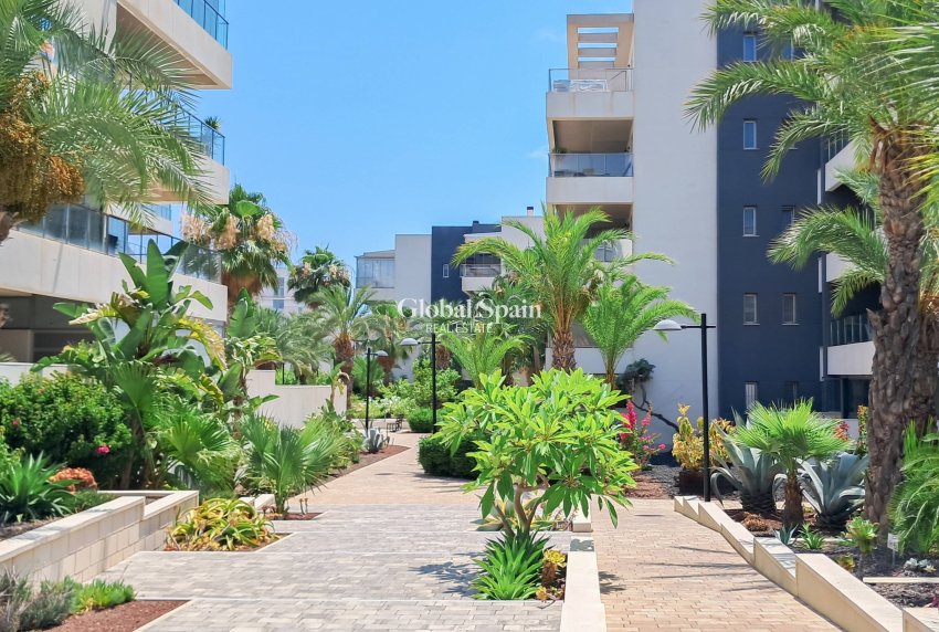 Odsprzedaż - MIESZKANIE -
ORIHUELA COSTA - Los Dolses