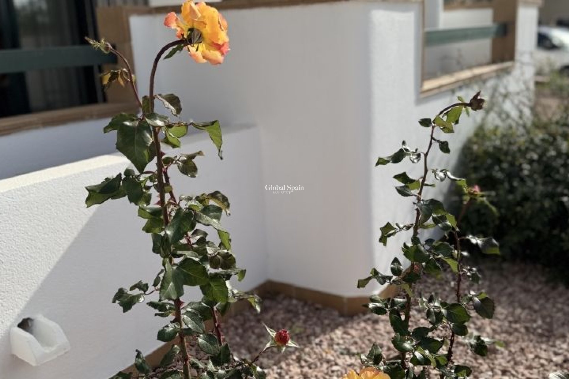 Odsprzedaż - MIESZKANIE -
ORIHUELA COSTA - 