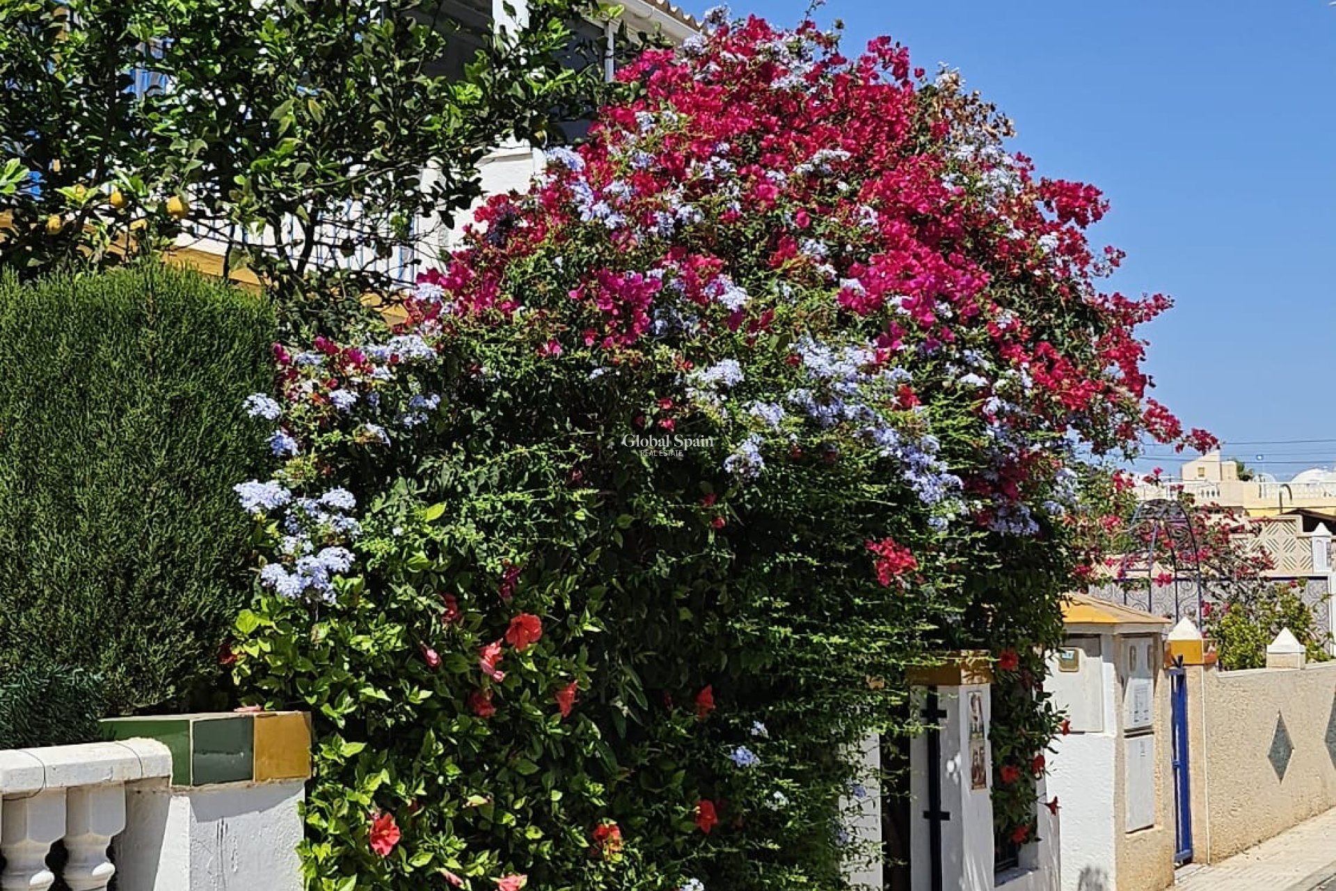 Odsprzedaż - MIESZKANIE -
ORIHUELA COSTA - 