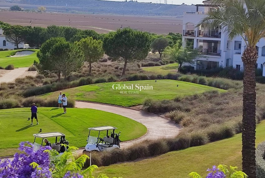 Odsprzedaż - MIESZKANIE -
SUCINA - Inland