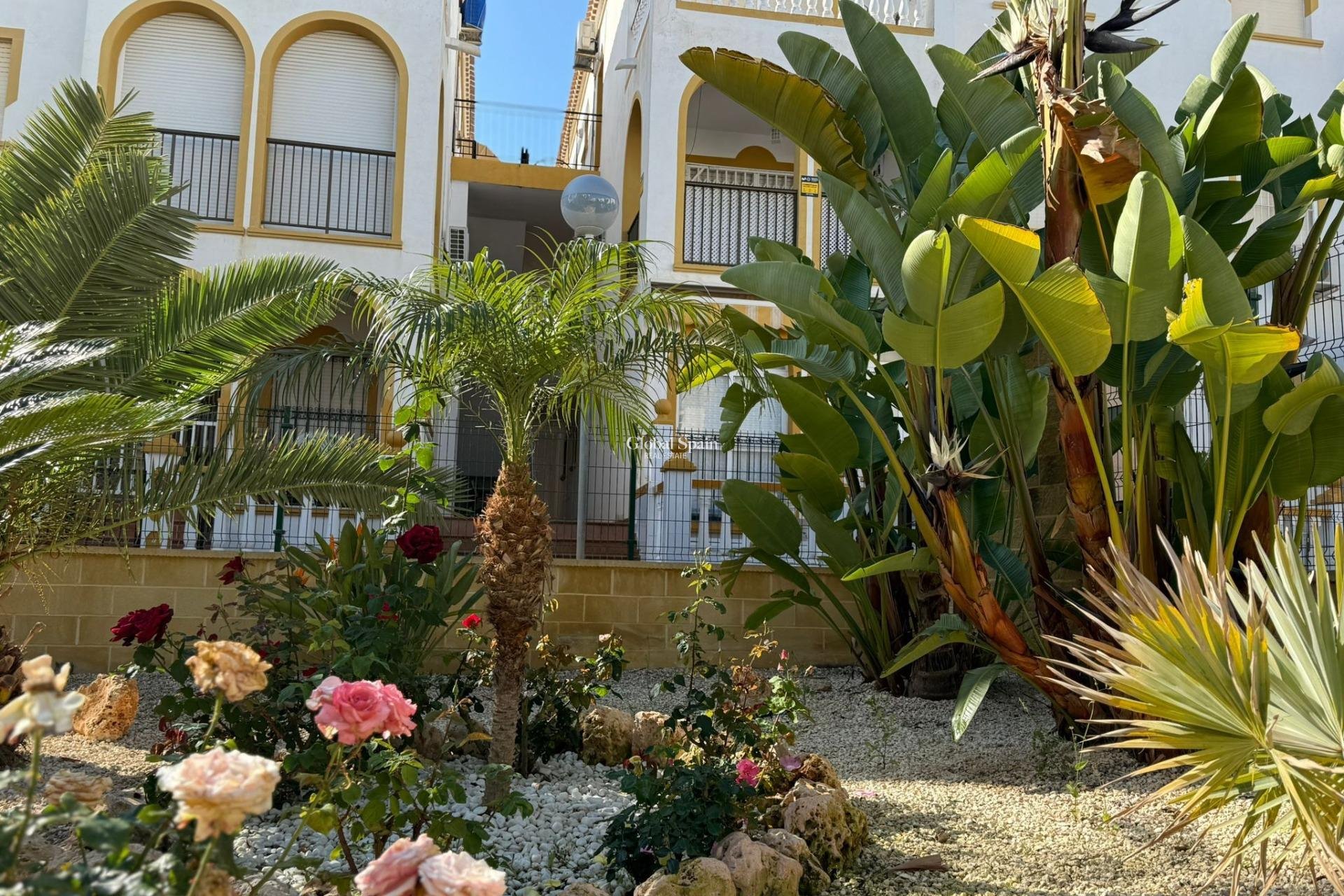 Odsprzedaż - MIESZKANIE -
TORREVIEJA - Cañada Del Molino