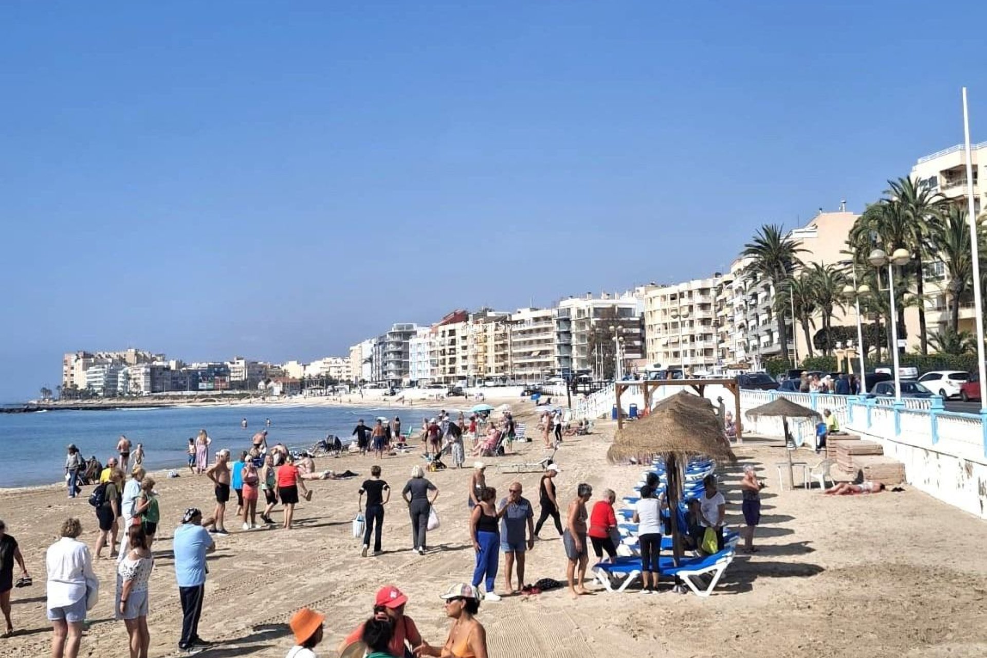 Odsprzedaż - MIESZKANIE -
TORREVIEJA - Center