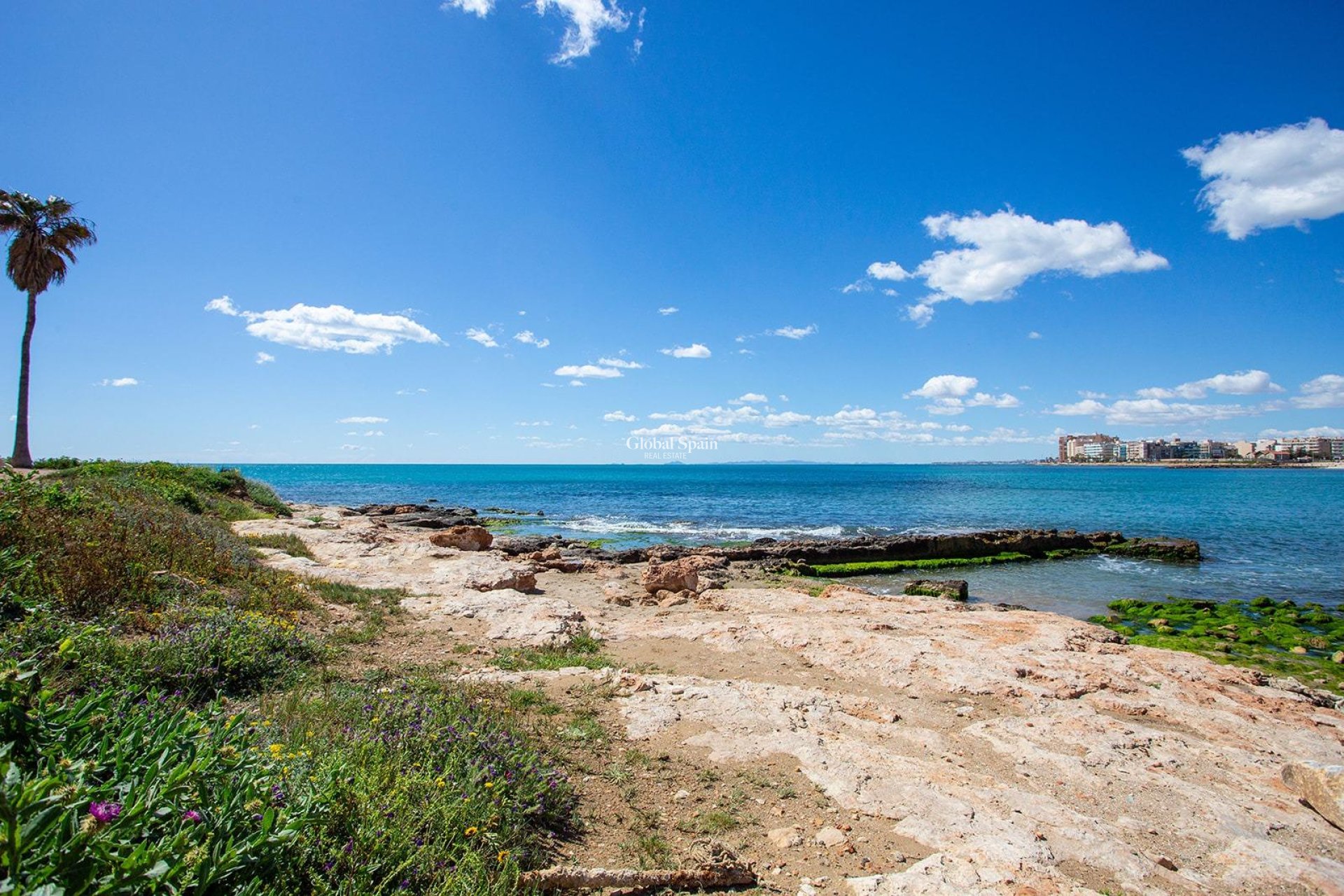 Odsprzedaż - MIESZKANIE -
TORREVIEJA - Center