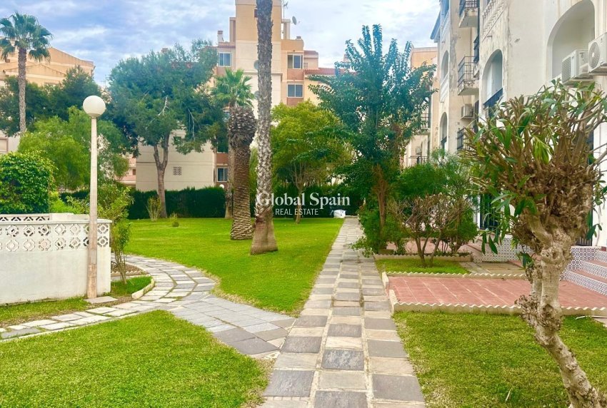 Odsprzedaż - MIESZKANIE -
TORREVIEJA - Estacion de autobuses