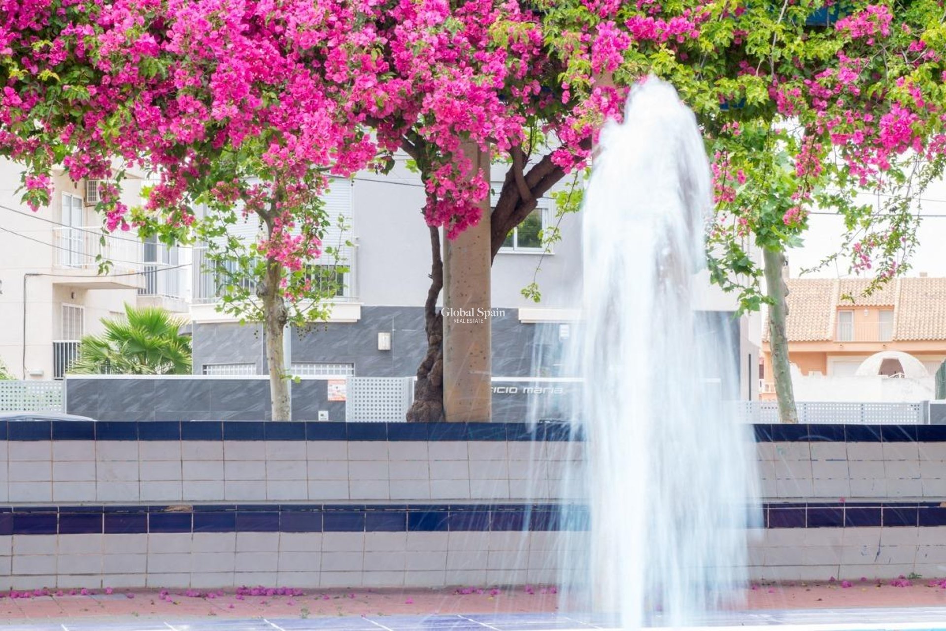 Odsprzedaż - MIESZKANIE -
TORREVIEJA - Estacion de autobuses