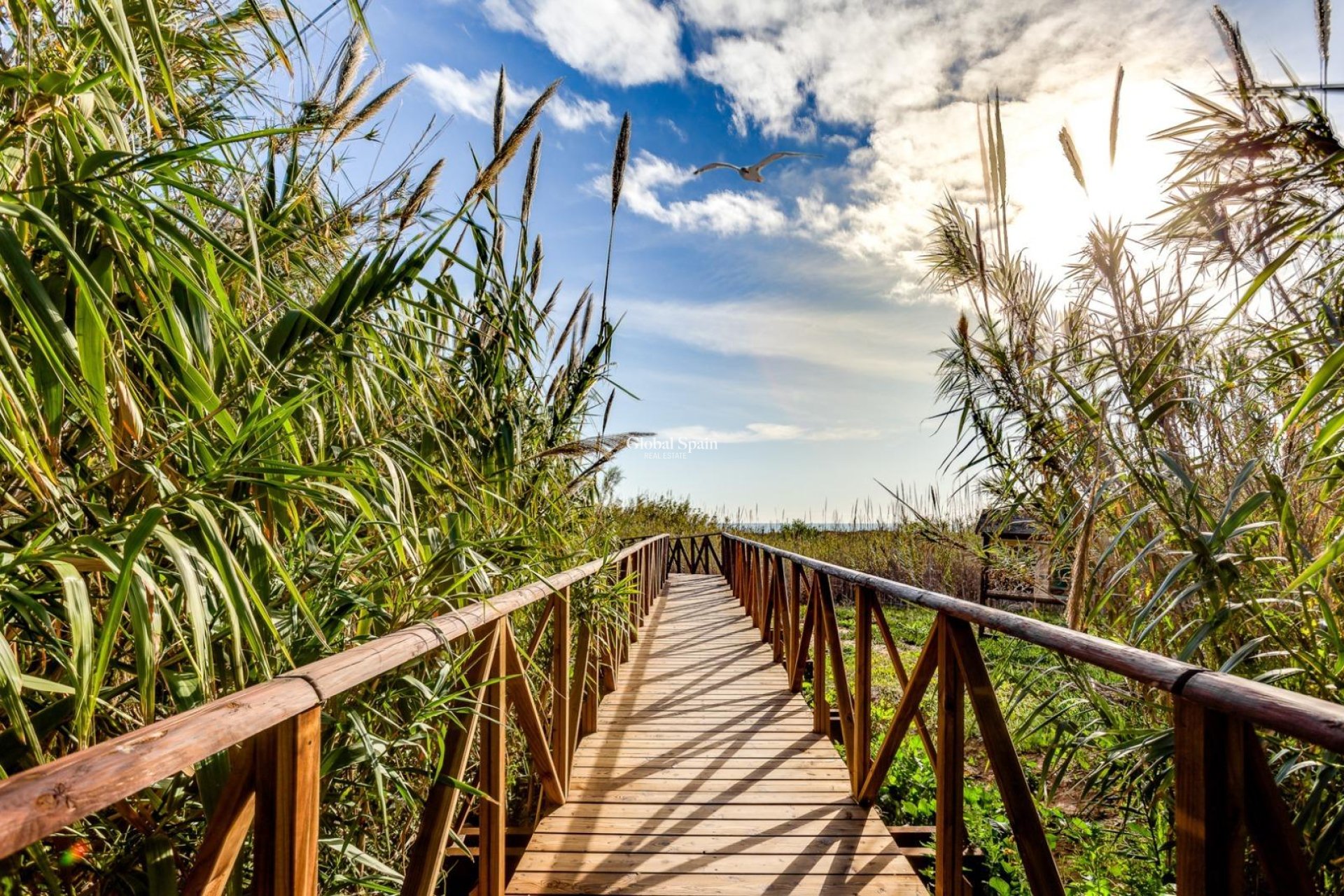 Odsprzedaż - MIESZKANIE -
TORREVIEJA - La Mata