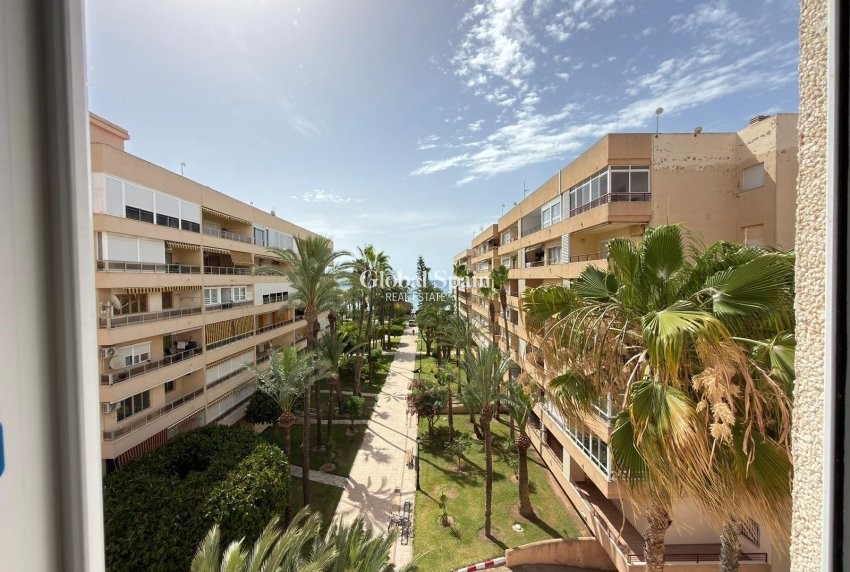 Odsprzedaż - MIESZKANIE -
TORREVIEJA - Los Frutales