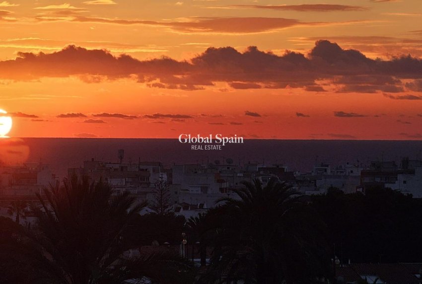 Odsprzedaż - MIESZKANIE -
TORREVIEJA - Nueva Torrevieja