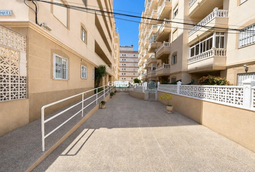 Odsprzedaż - MIESZKANIE -
TORREVIEJA - Nueva Torrevieja