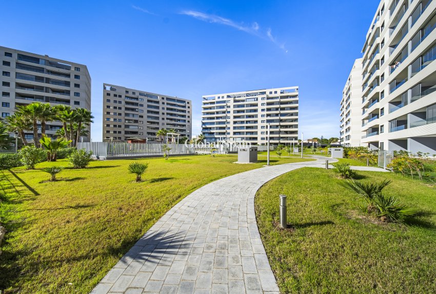 Odsprzedaż - MIESZKANIE -
TORREVIEJA - Punta prima