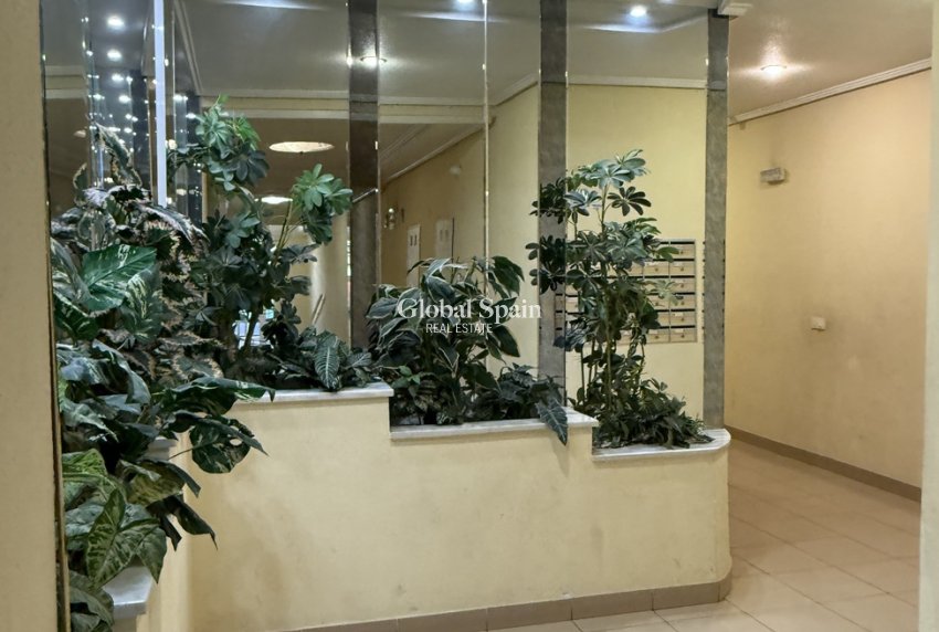 Odsprzedaż - MIESZKANIE -
TORREVIEJA - 