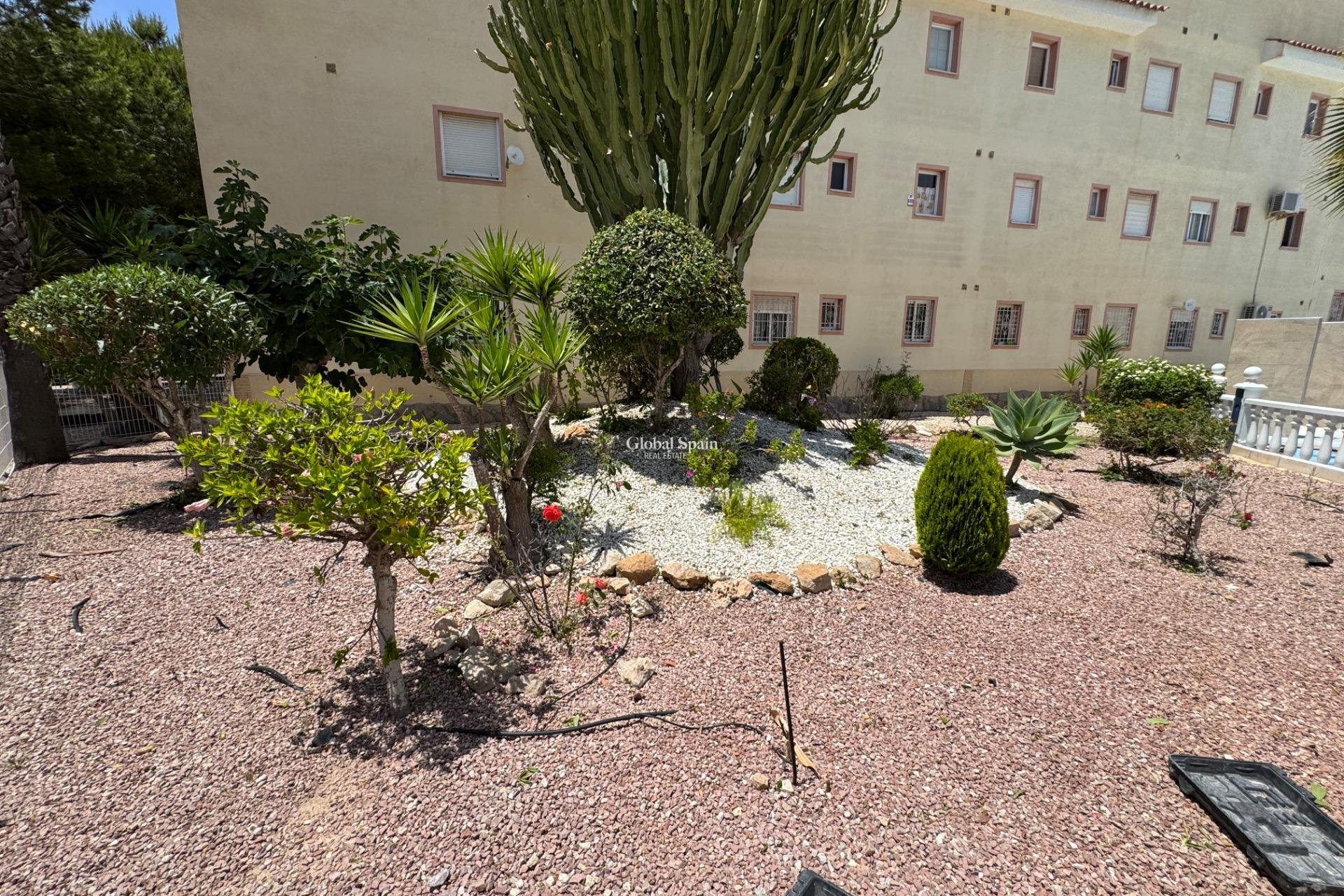 Odsprzedaż - MIESZKANIE -
TORREVIEJA - 