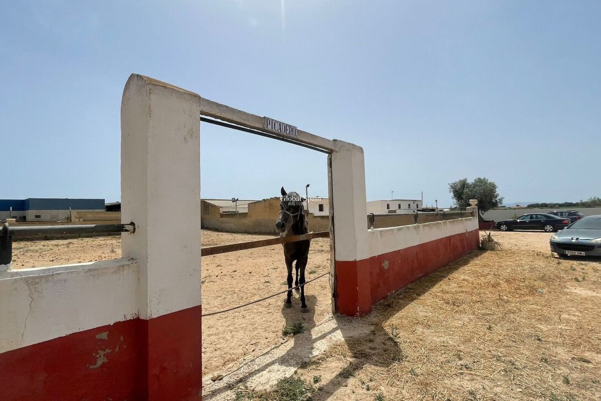 Odsprzedaż - NIERUCHOMOŚĆ KOMERCYJNA -
BALSICAS - TORRE PACHECO