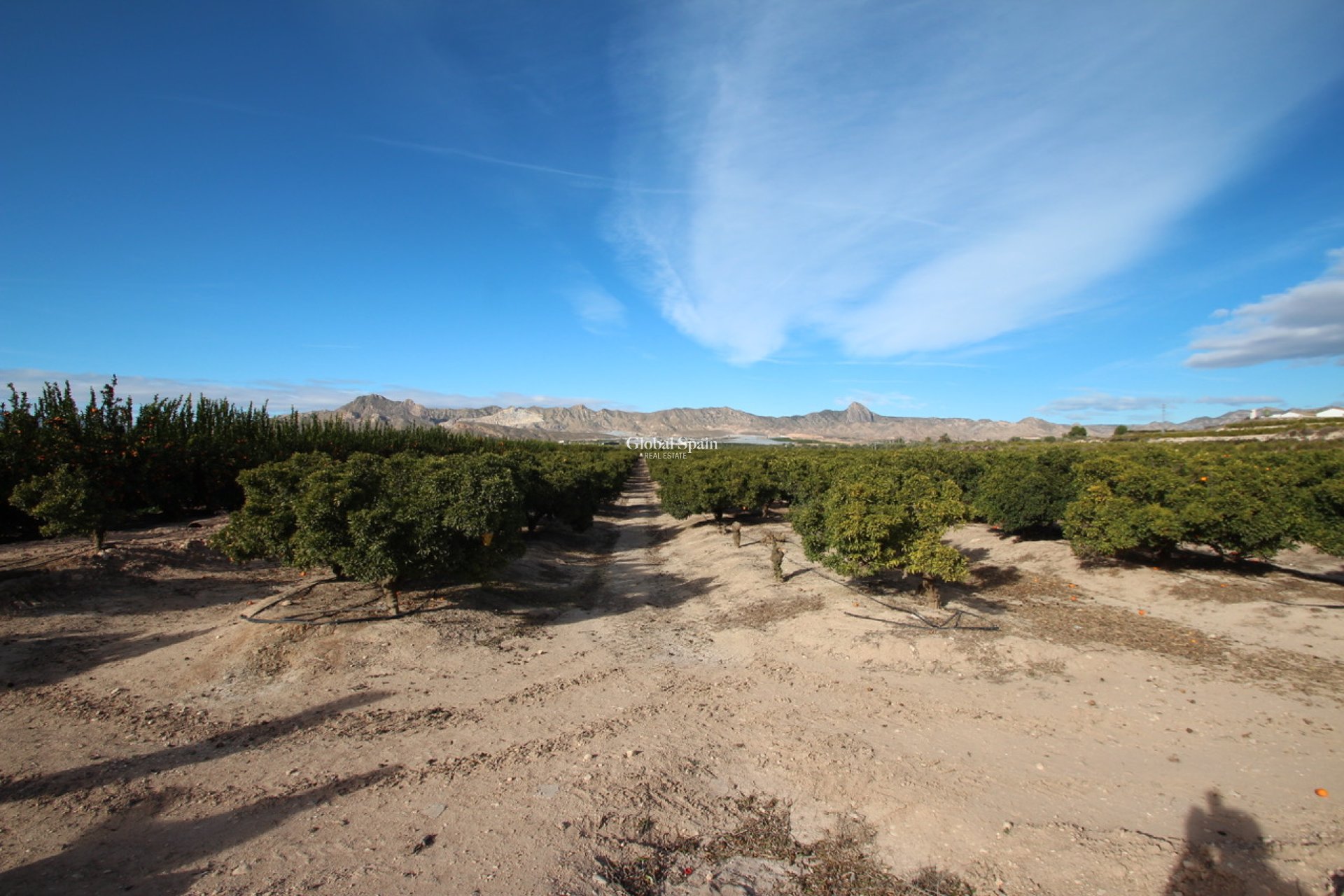 Odsprzedaż - Nieruchomość wiejska/Finca -
MURCIA - Costa Blanca Sur