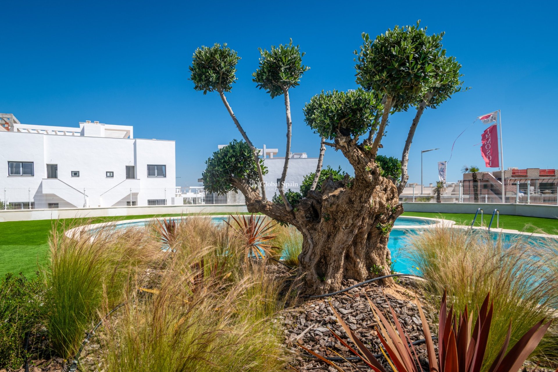 Odsprzedaż - Parter -
TORREVIEJA - LOS BALCONES - LOS ALTOS