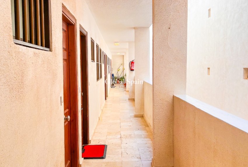 Odsprzedaż - PENTHOUSE -
GUARDAMAR DEL SEGURA - Playa Centro Guardamar