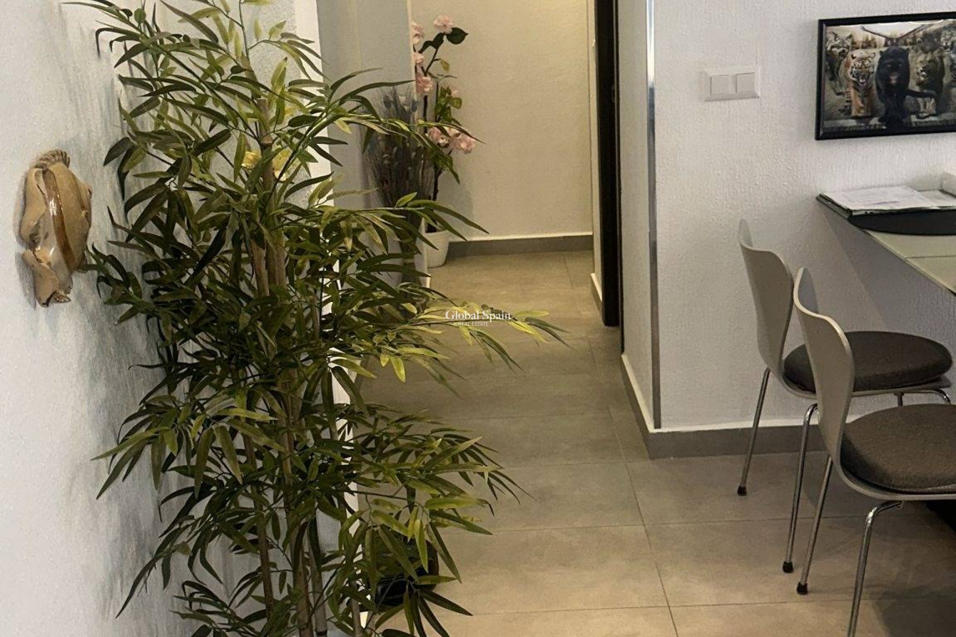 Odsprzedaż - PENTHOUSE -
TORREVIEJA - Center