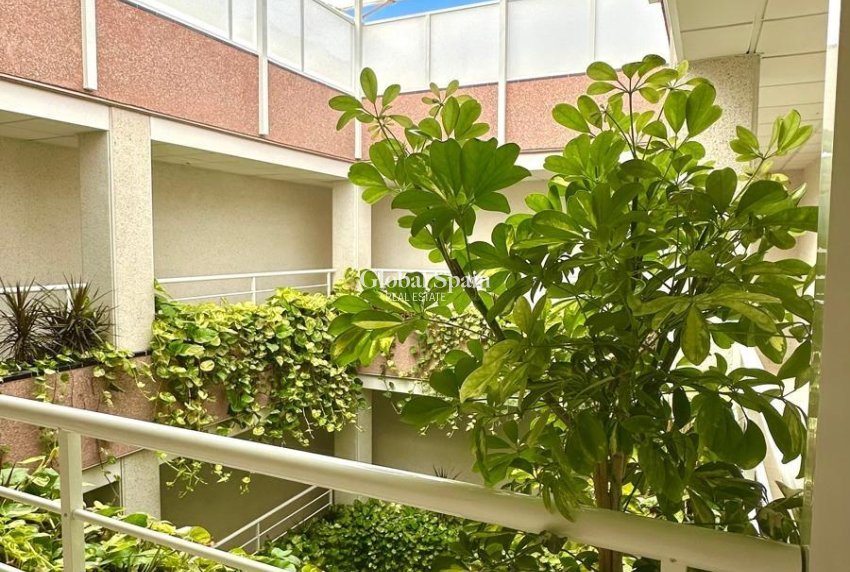 Odsprzedaż - PENTHOUSE -
TORREVIEJA - Center