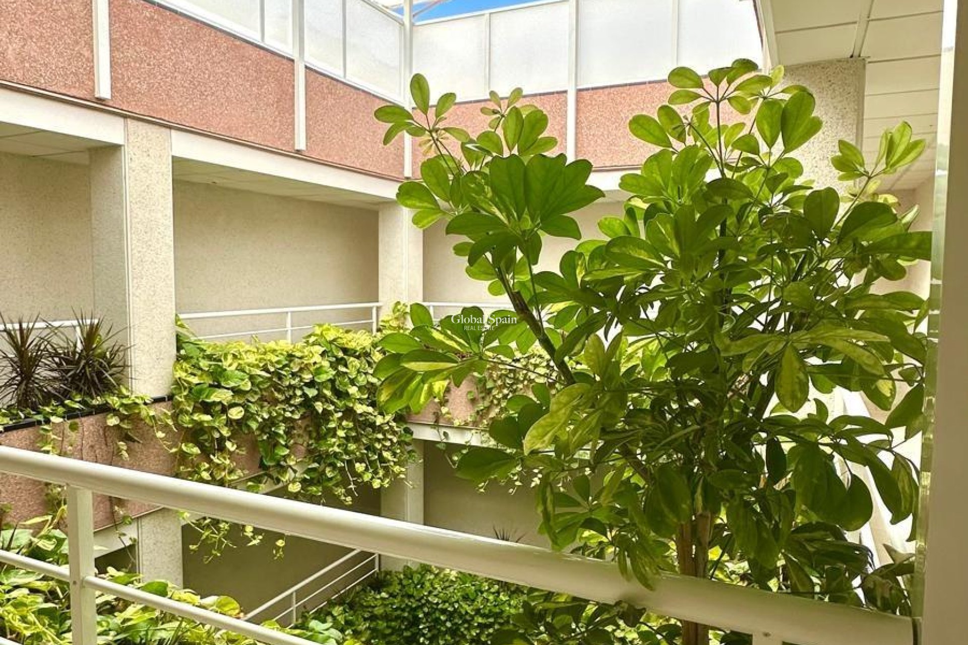 Odsprzedaż - PENTHOUSE -
TORREVIEJA - Center