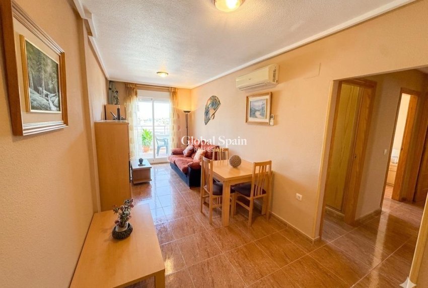 Odsprzedaż - PENTHOUSE -
TORREVIEJA - Centro