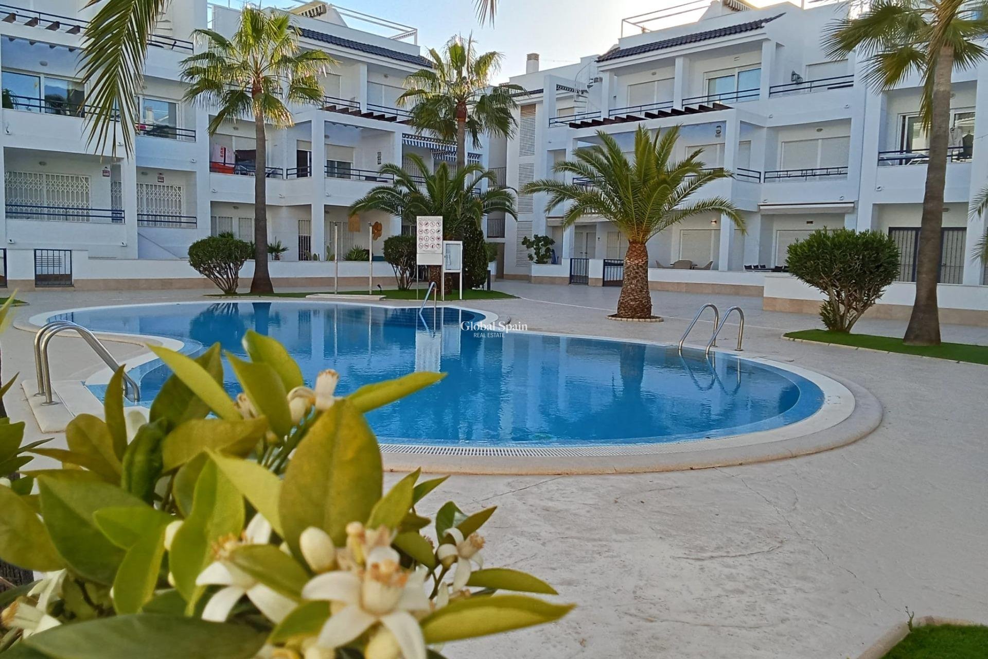 Odsprzedaż - PENTHOUSE -
TORREVIEJA - La Veleta