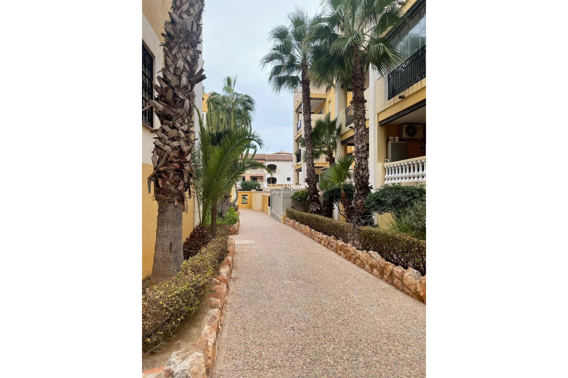 Odsprzedaż - PENTHOUSE -
TORREVIEJA - Los Frutales