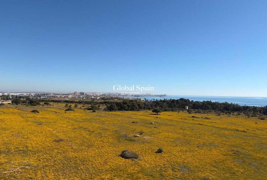 Odsprzedaż - PENTHOUSE -
TORREVIEJA - Punta Prima