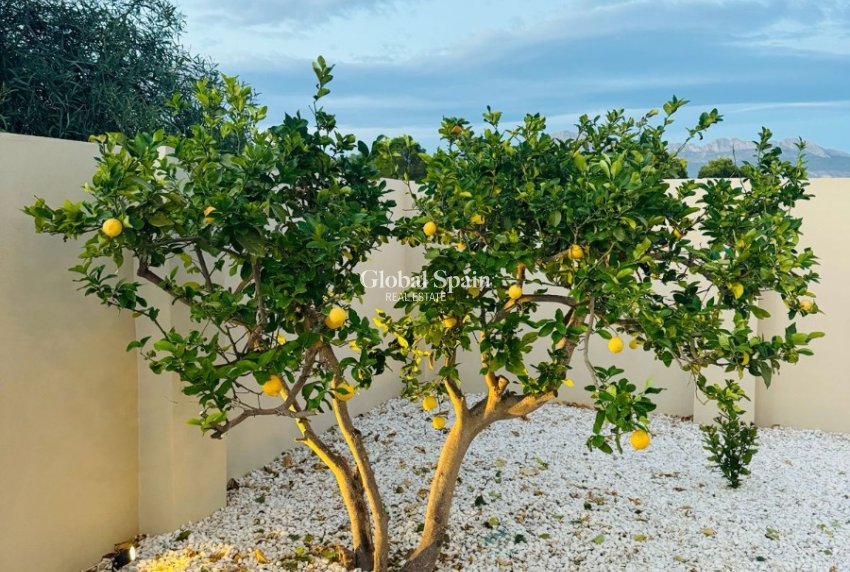 Odsprzedaż - WILLA  -
ALFAZ DEL PI - Costa Blanca