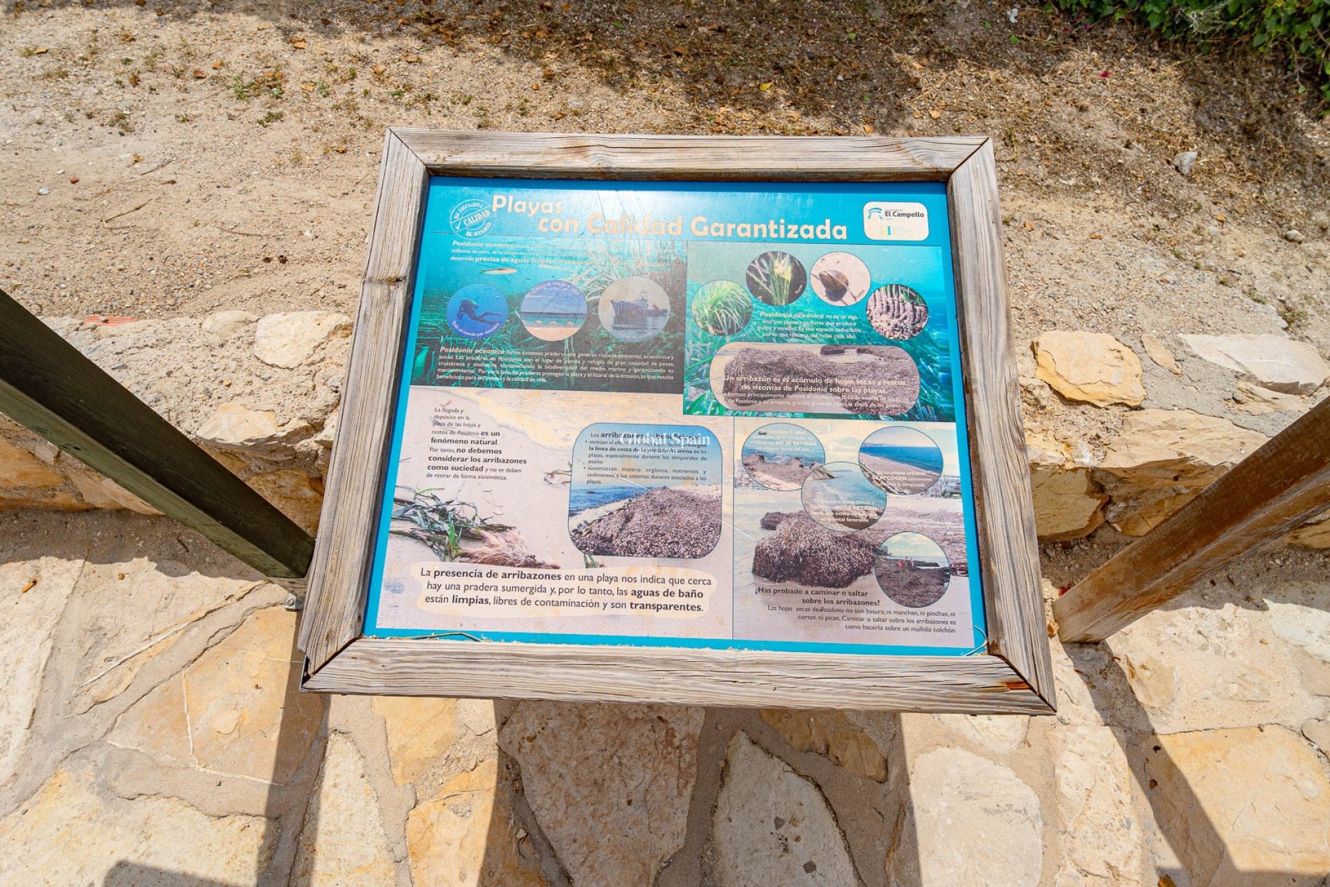 Odsprzedaż - WILLA  -
ALICANTE - El Campello