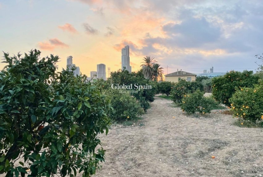 Odsprzedaż - WILLA  -
BENIDORM - Salto Del Agua