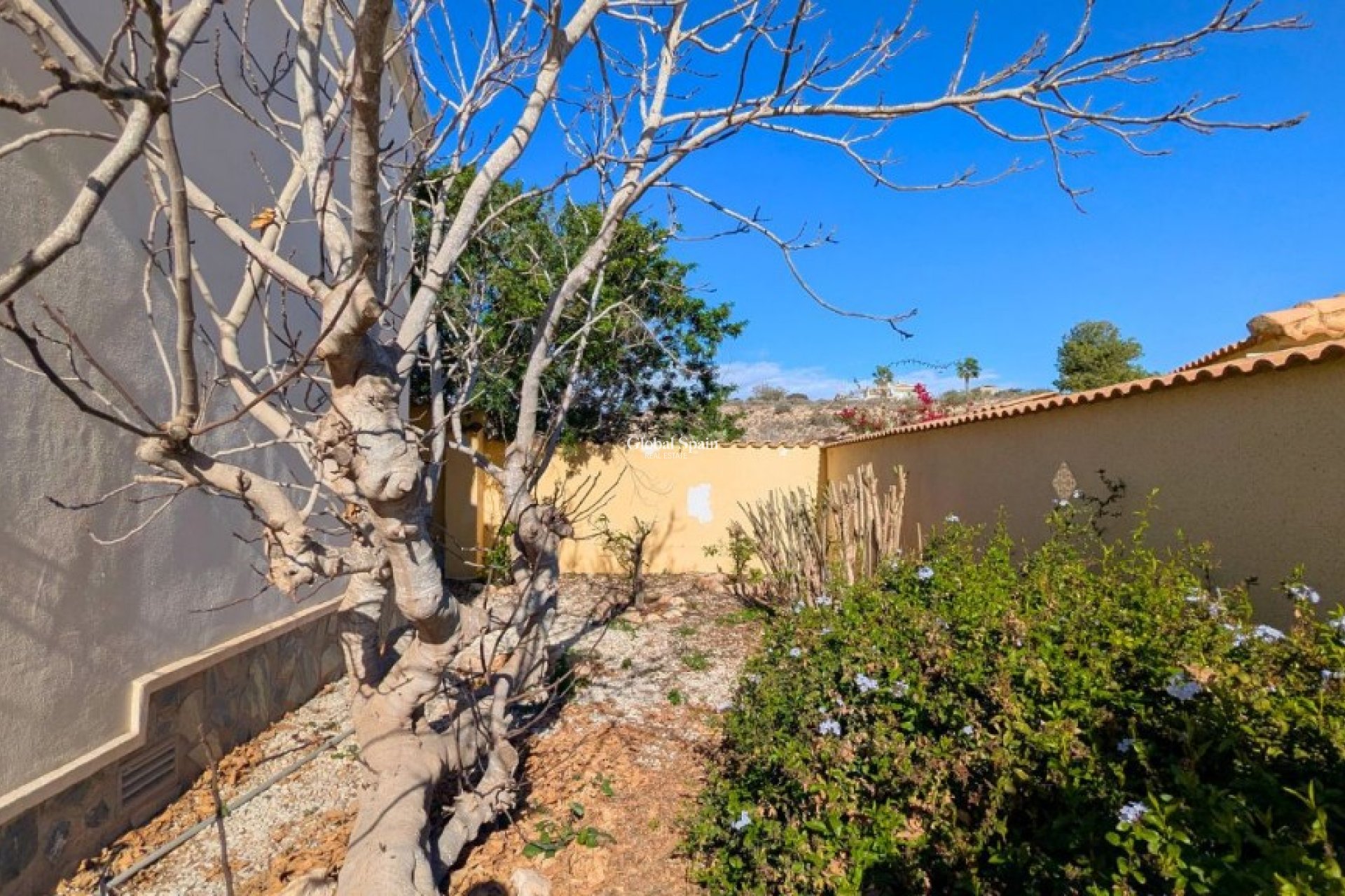 Odsprzedaż - Willa -
CIUDAD QUESADA