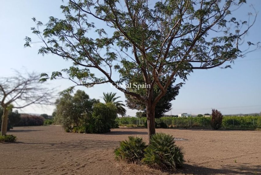 Odsprzedaż - WILLA  -
DAYA NUEVA - Costa Blanca