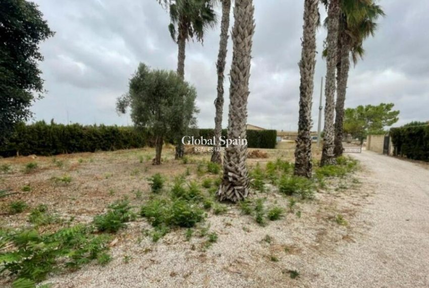 Odsprzedaż - WILLA  -
DAYA VIEJA - Costa Blanca