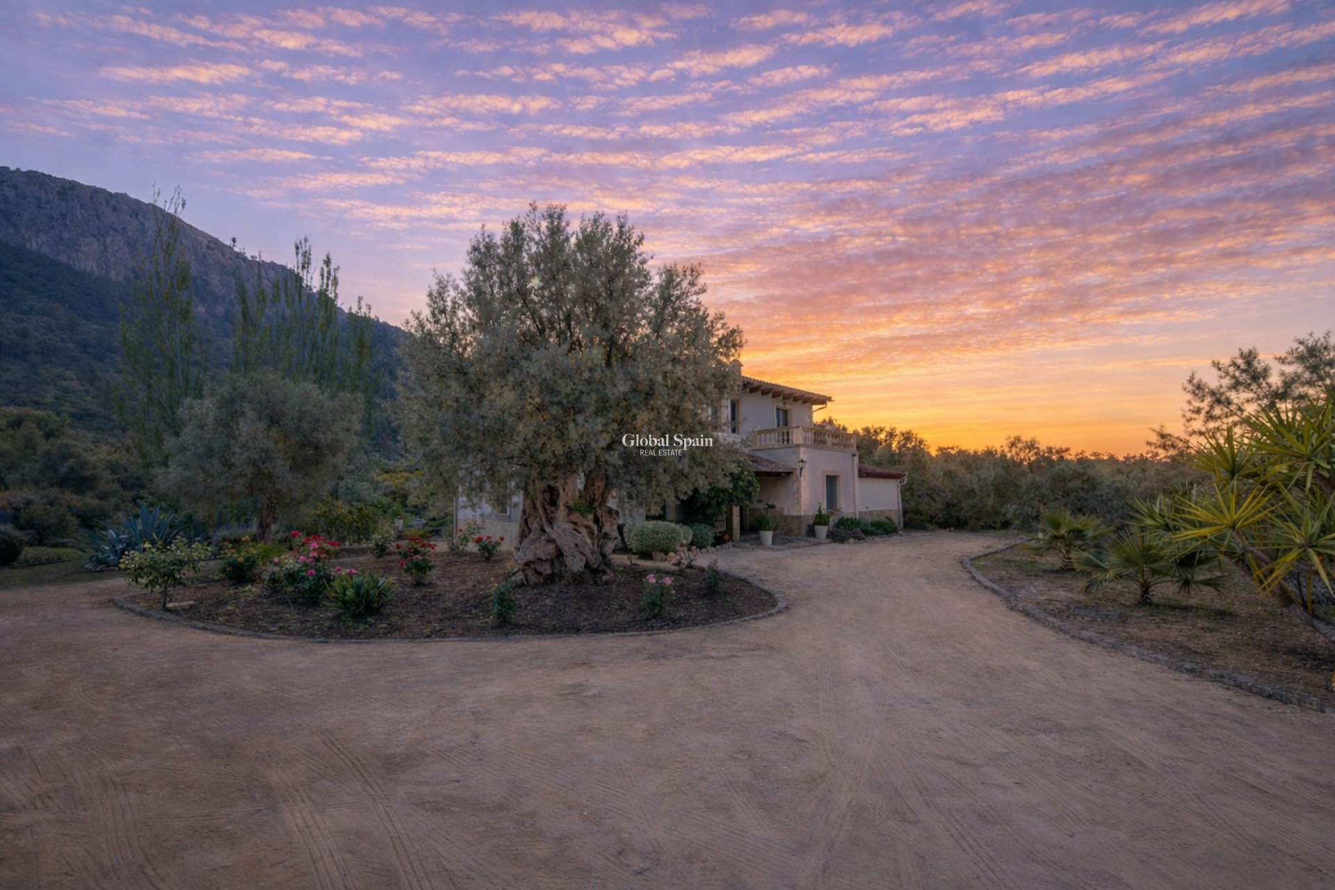 Odsprzedaż - WILLA  -
ESPORLES - optional location detail