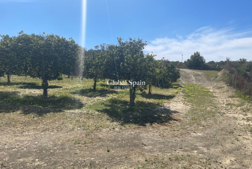 Odsprzedaż - WILLA  -
GUARDAMAR DEL SEGURA - Costa Blanca