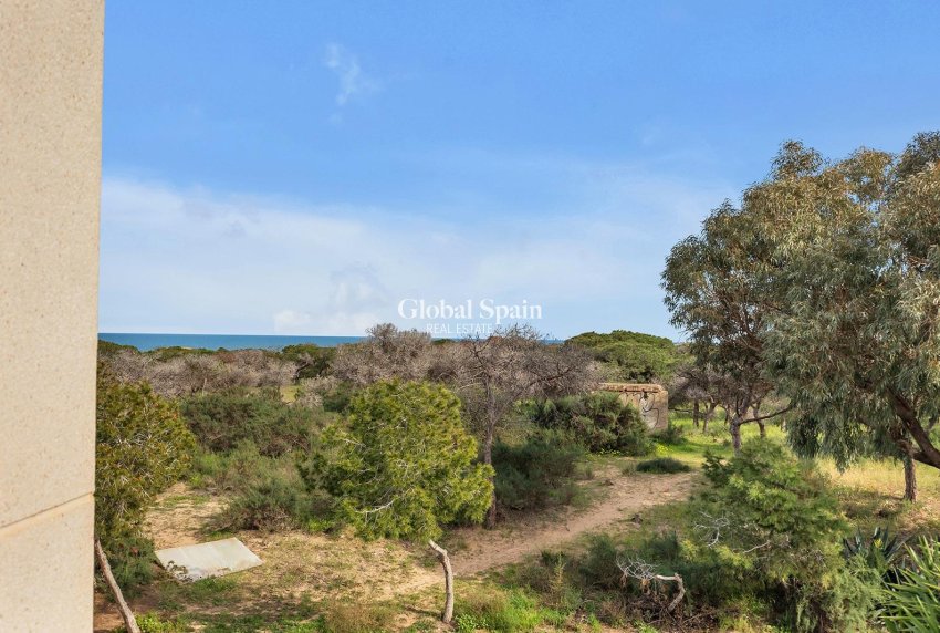 Odsprzedaż - WILLA  -
GUARDAMAR DEL SEGURA - Urbanizaciones