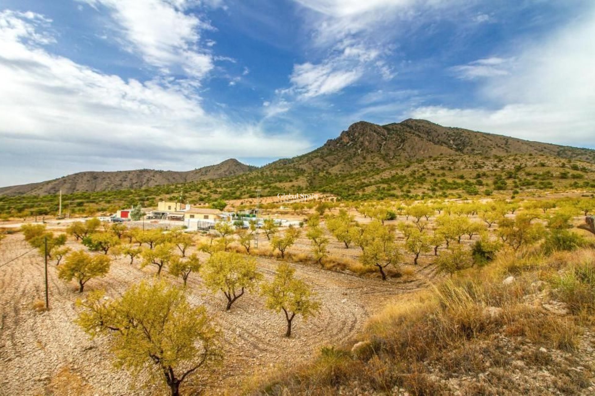 Odsprzedaż - WILLA  -
JUMILLA - Inland