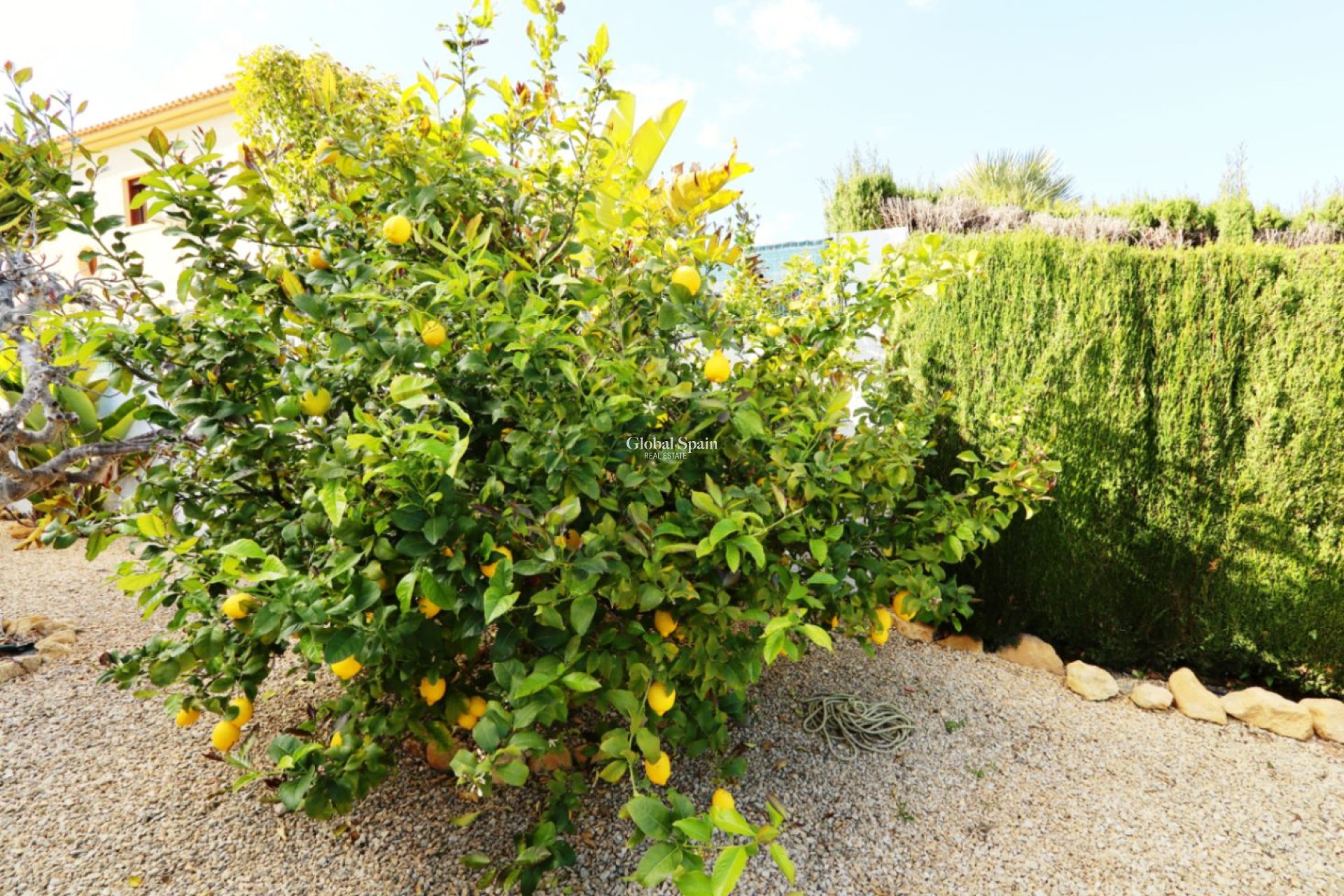 Odsprzedaż - WILLA  -
LA NUCÍA - Costa Blanca