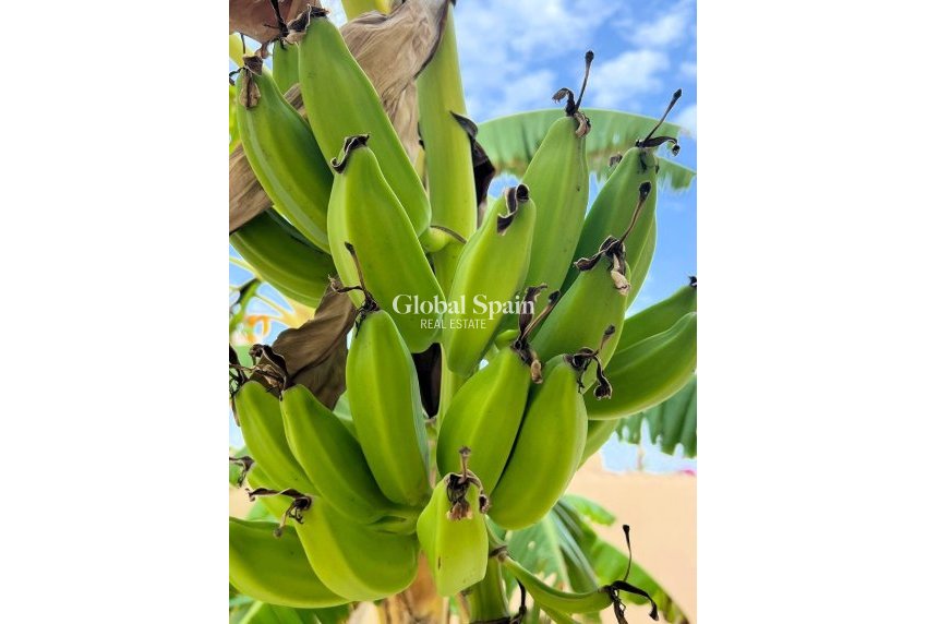 Odsprzedaż - Willa -
Los Urrutias  - Estrella de Mar