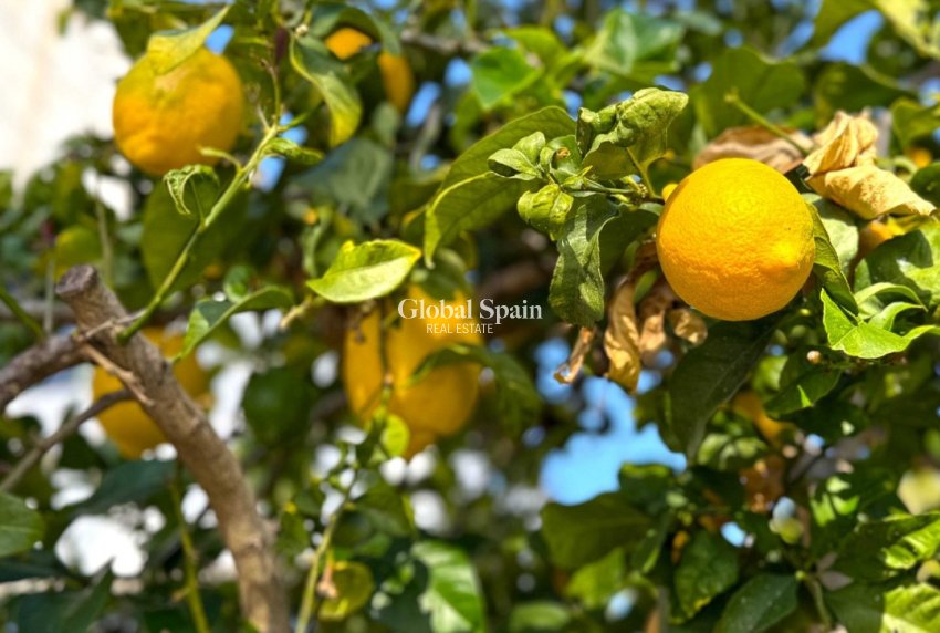 Odsprzedaż - WILLA  -
ORIHUELA COSTA - 