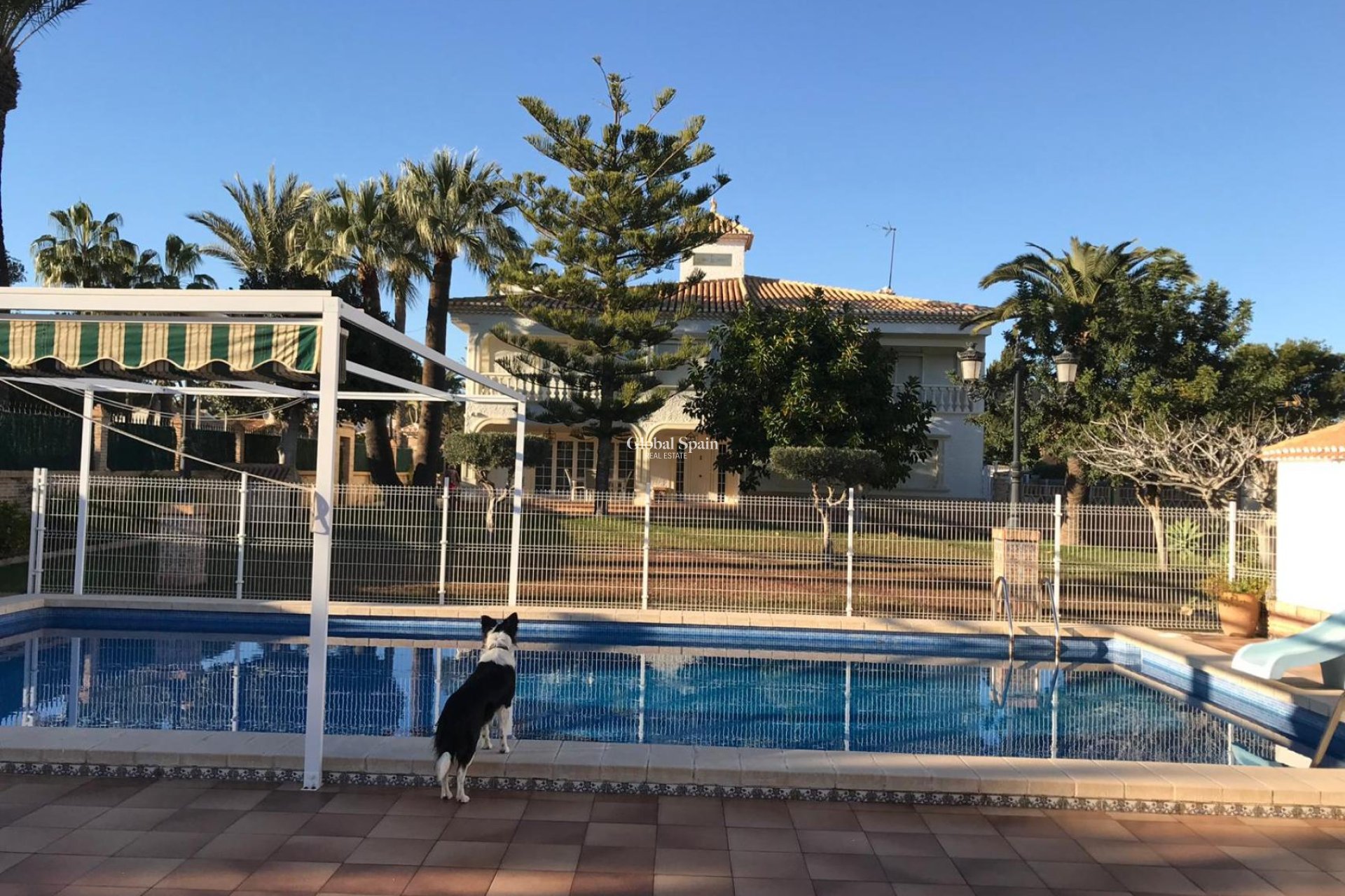 Odsprzedaż - WILLA  -
ORIHUELA COSTA - 