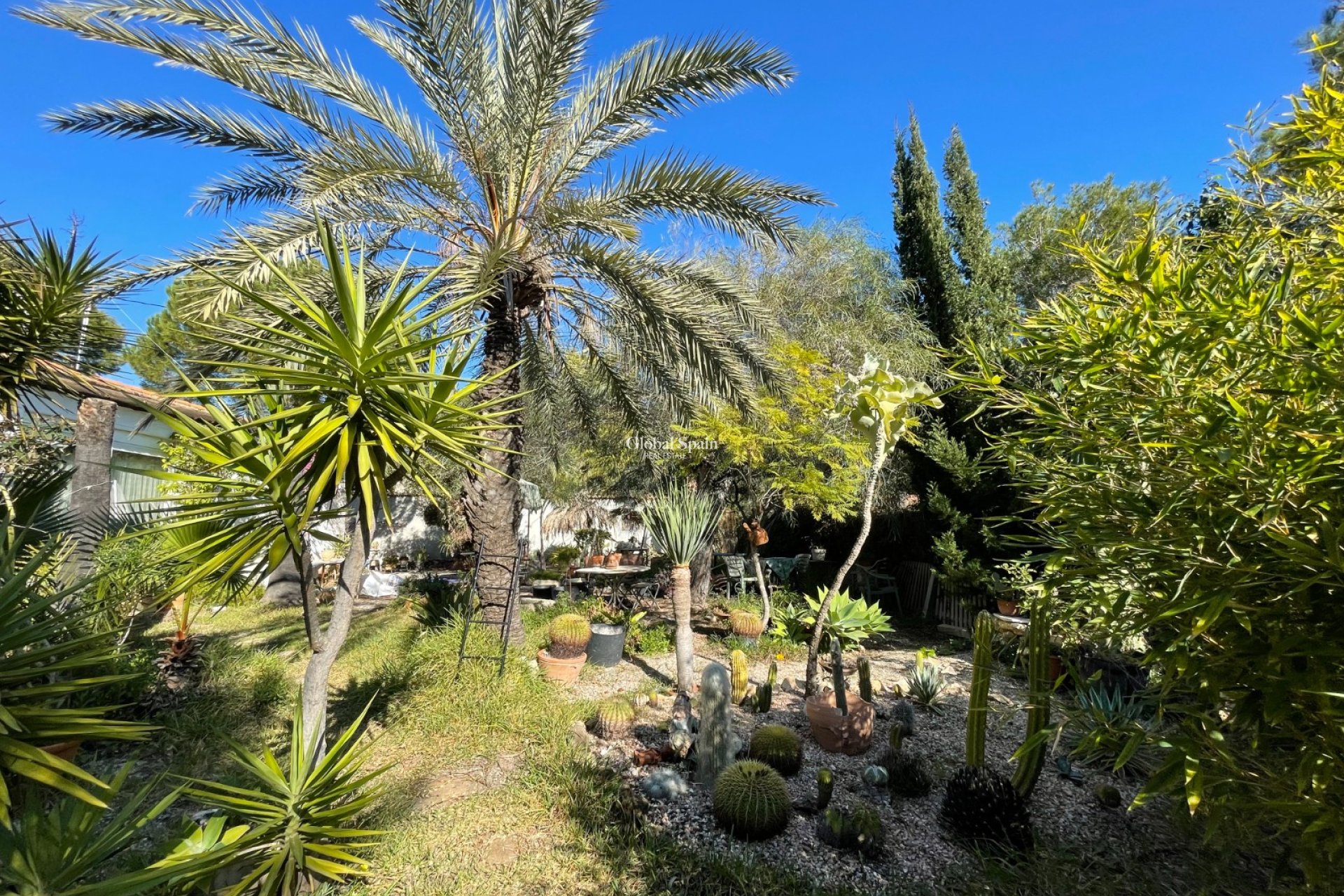 Odsprzedaż - WILLA  -
ORIHUELA COSTA - 