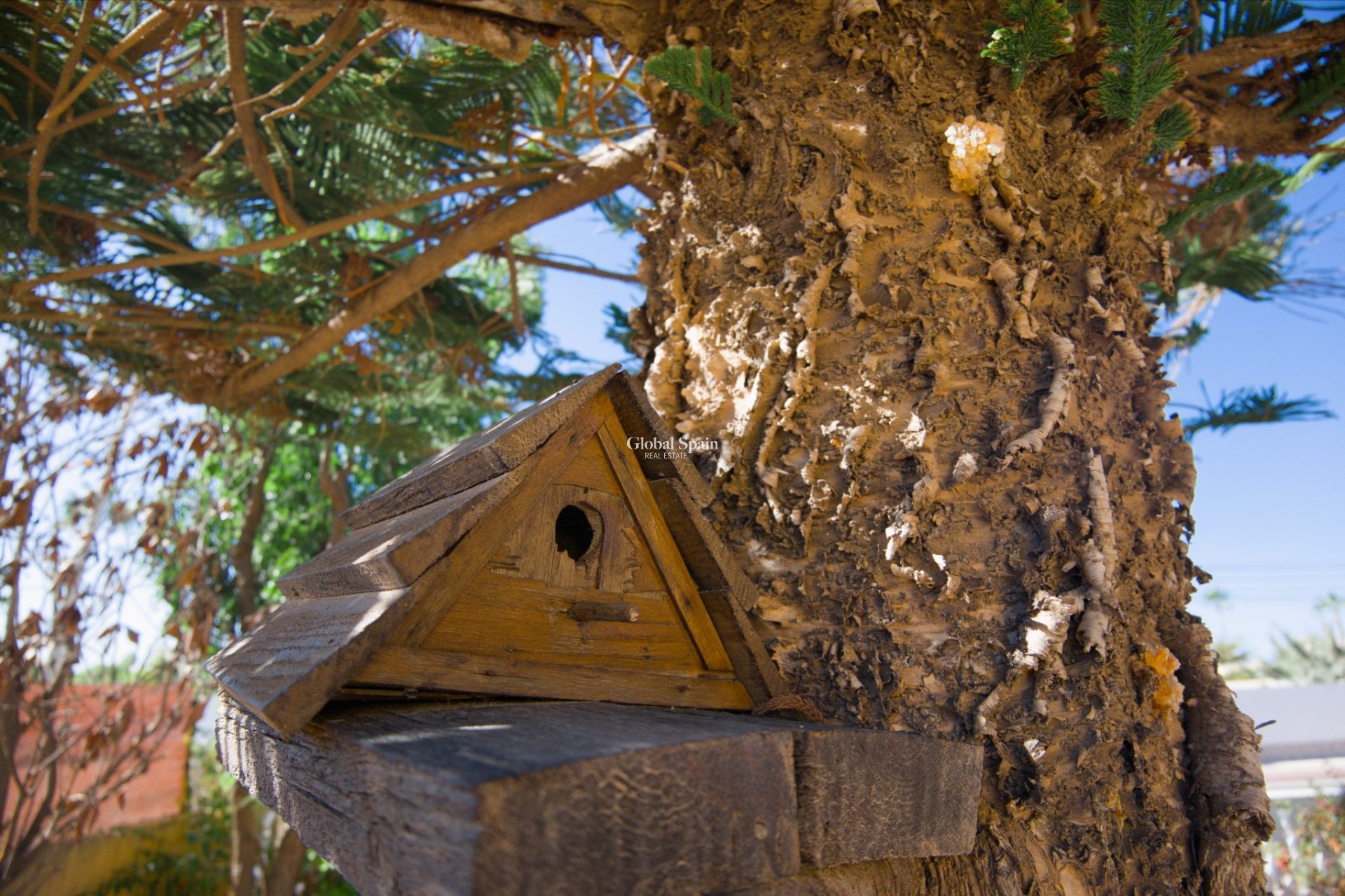 Odsprzedaż - WILLA  -
TORREVIEJA - Costa Blanca