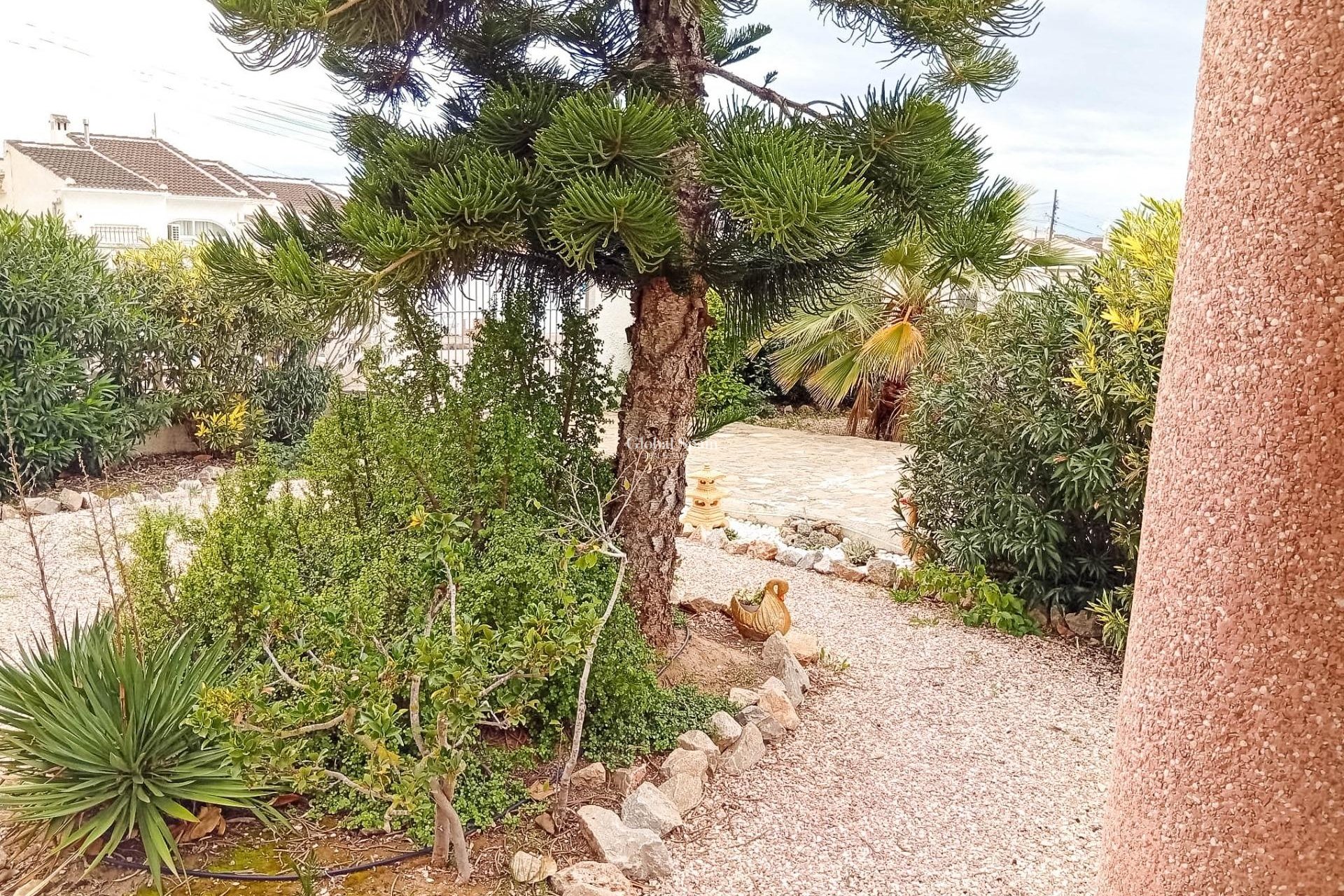 Odsprzedaż - WILLA  -
TORREVIEJA - La Siesta