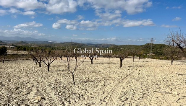 PARCELLE DE TERRAIN - Revente - Bullas -
                Costa Calida