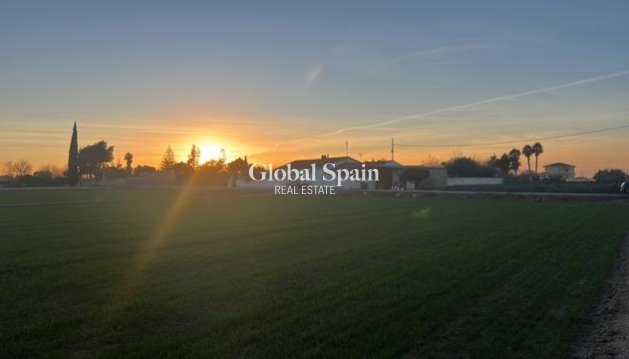 PARCELLE DE TERRAIN - Revente - DOLORES -
                Comunidad Valenciana